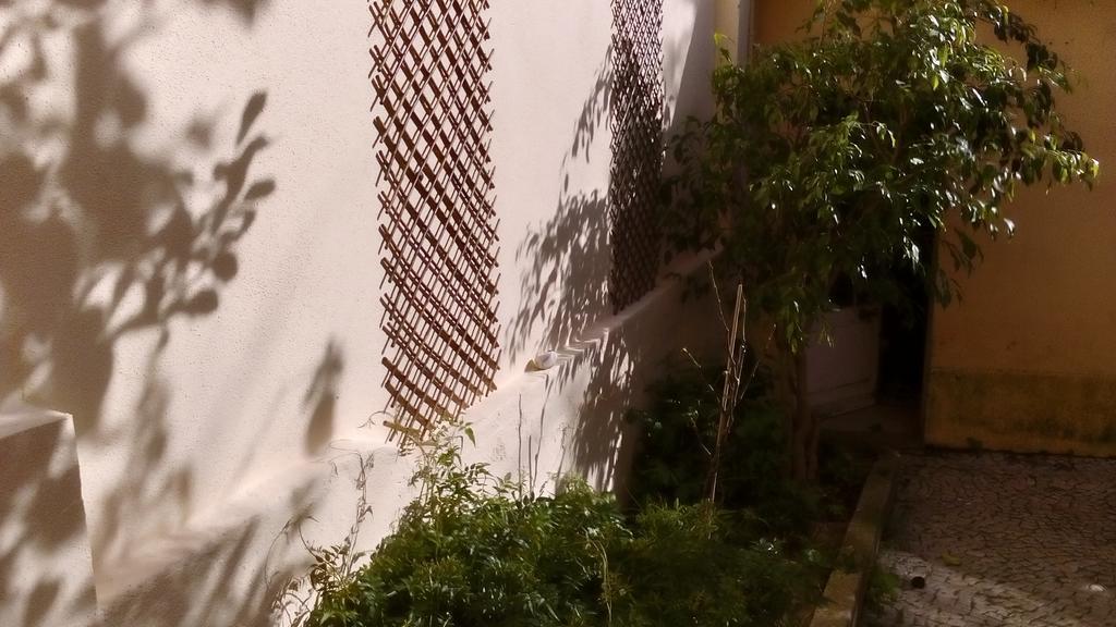 Casa Do Jasmim Homestay Lisbon