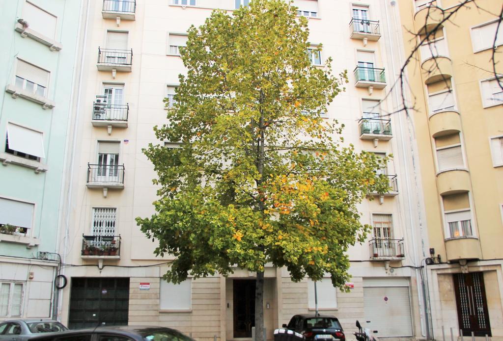 Casa Da Praceta Apartment *