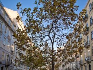 Valmor Hotel Lisboa