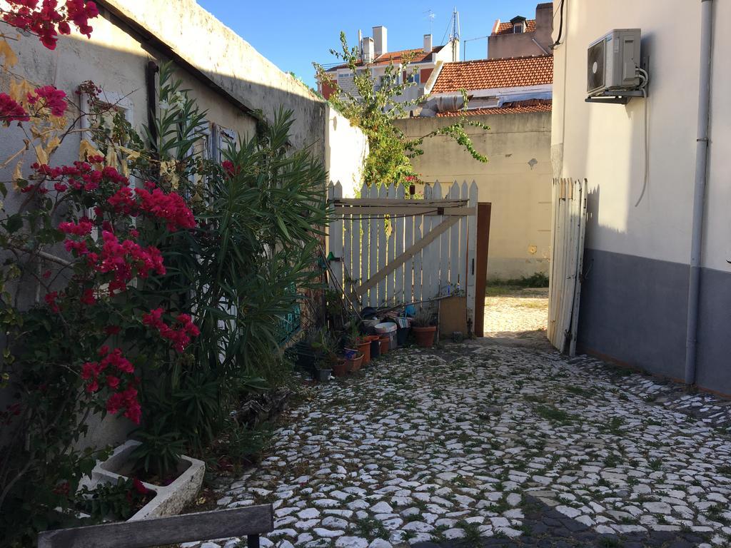 The Back Yard Nest Apartment Lisbon