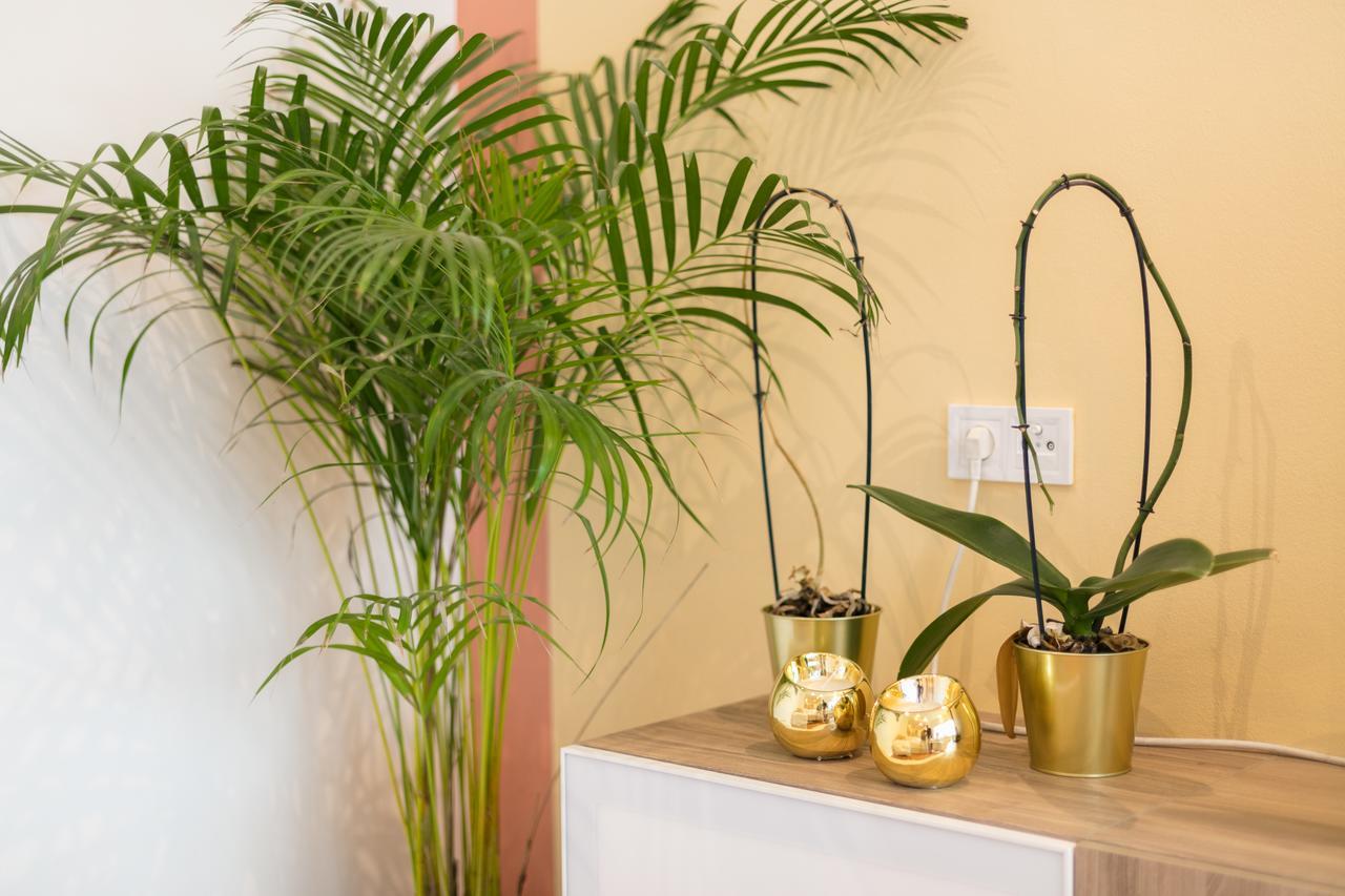 Apartment Your - Duque De Palmela