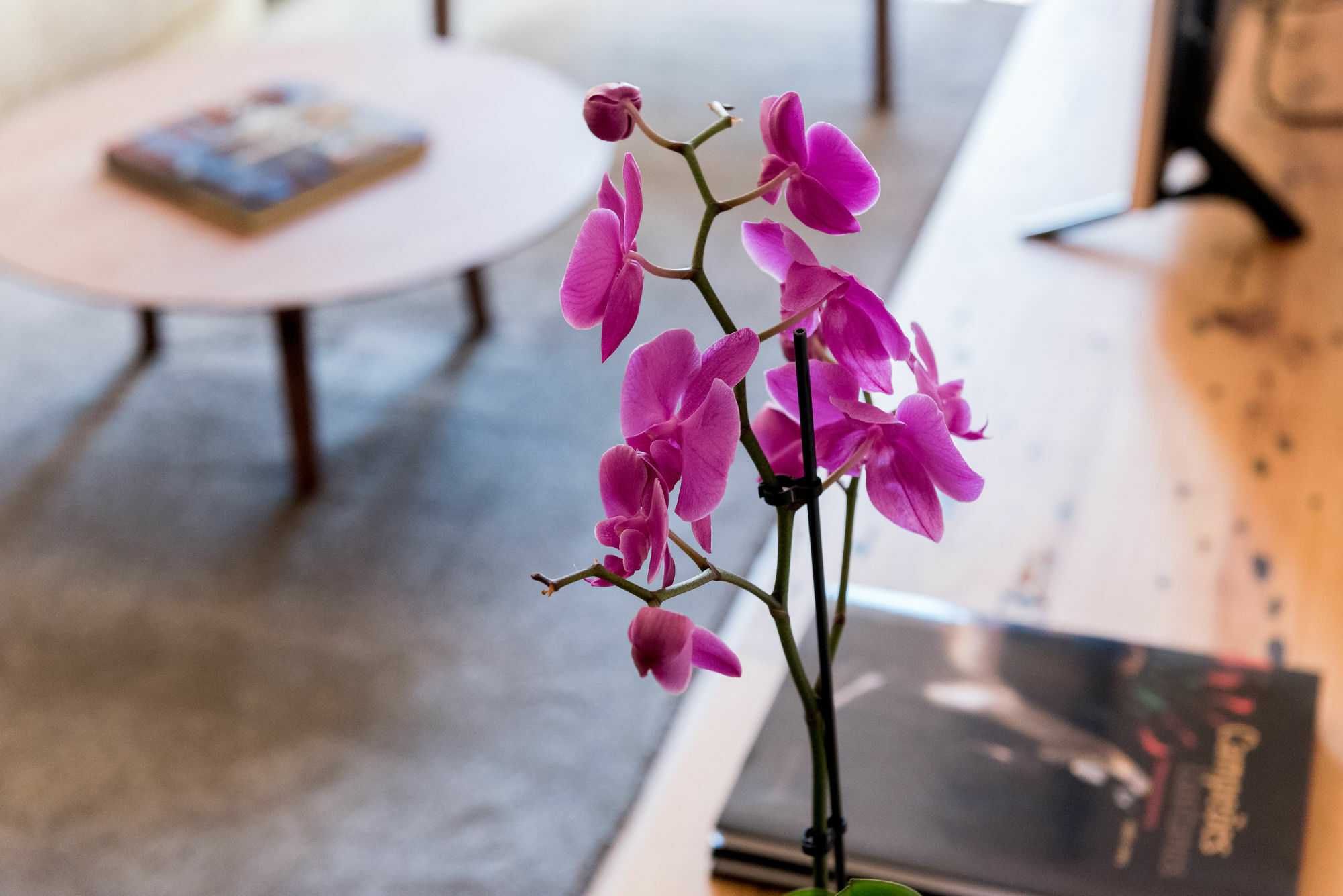 Apartment Flora Chiado Lisbon