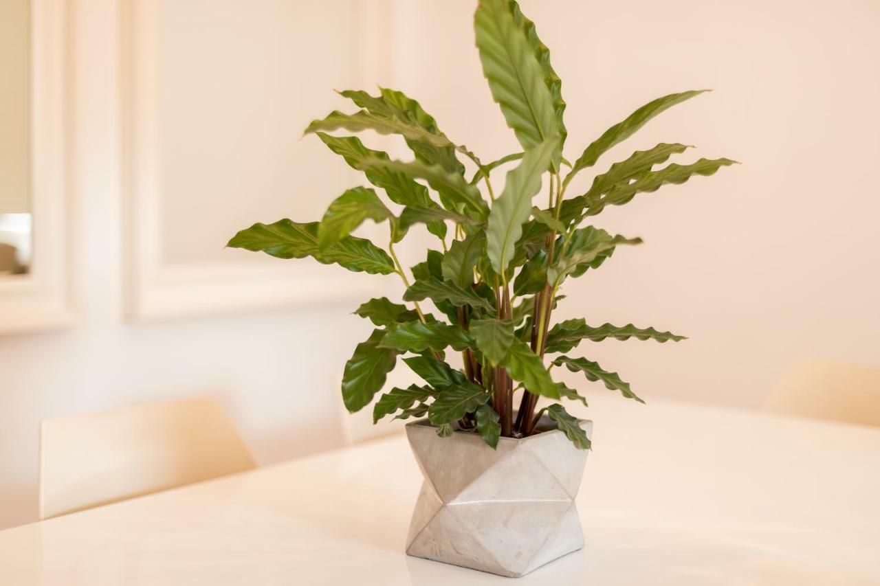 Alfama Modern Two-bedroom W/ River View And Parking - By Lu Holidays Apartment *