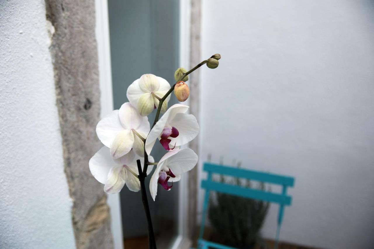 Santo Amaro's House Apartment Lisbon