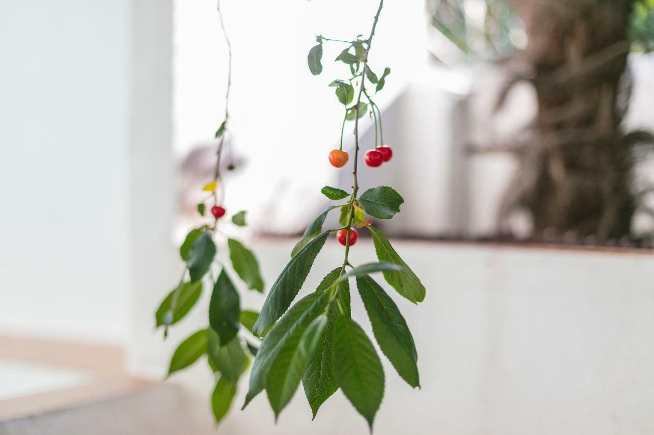 Fragrant Garden Apartment *