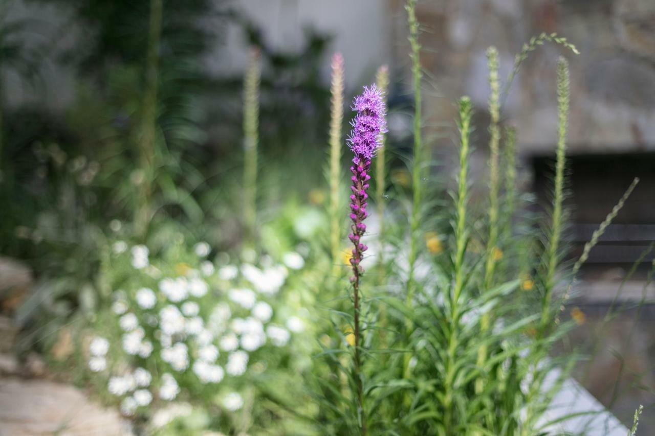 Fragrant Garden Lisbon
