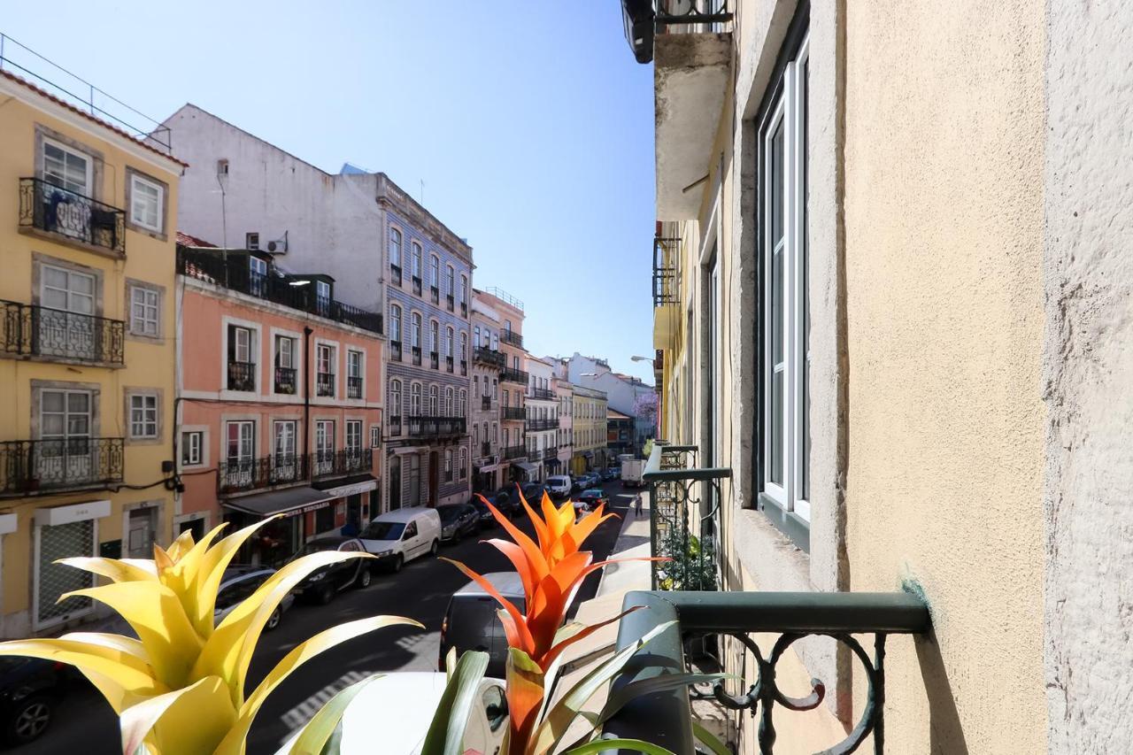 Apartment Charming And Stylish Downtown In Xix Century Building *