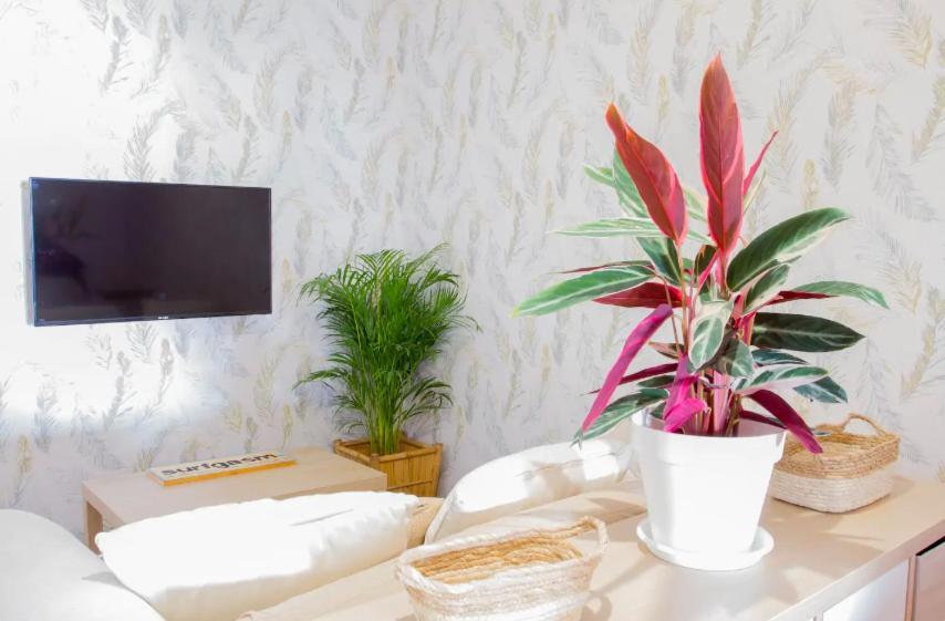 Guest house Anjos Central Intendente