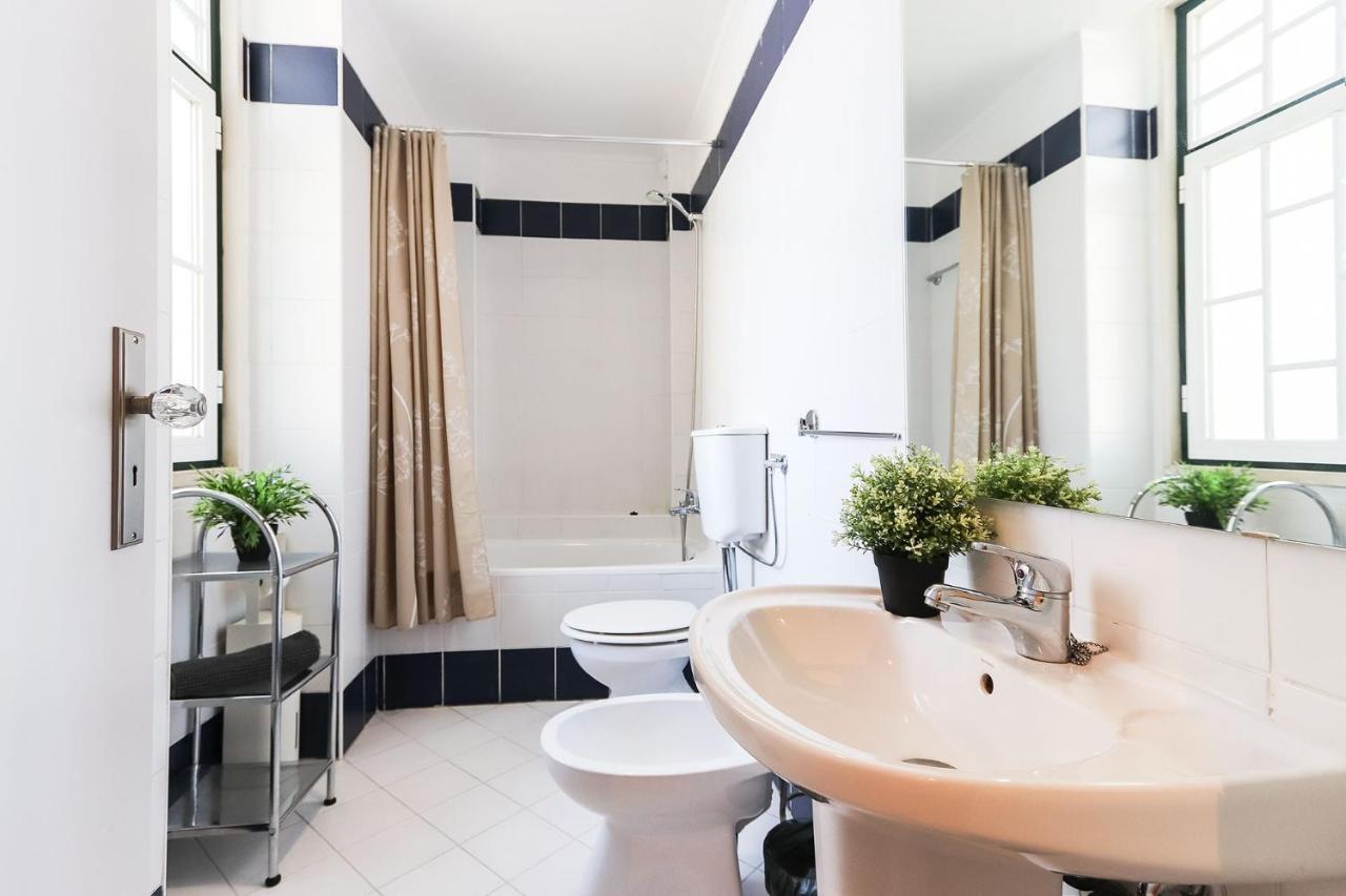 Rato Elegant By Homing