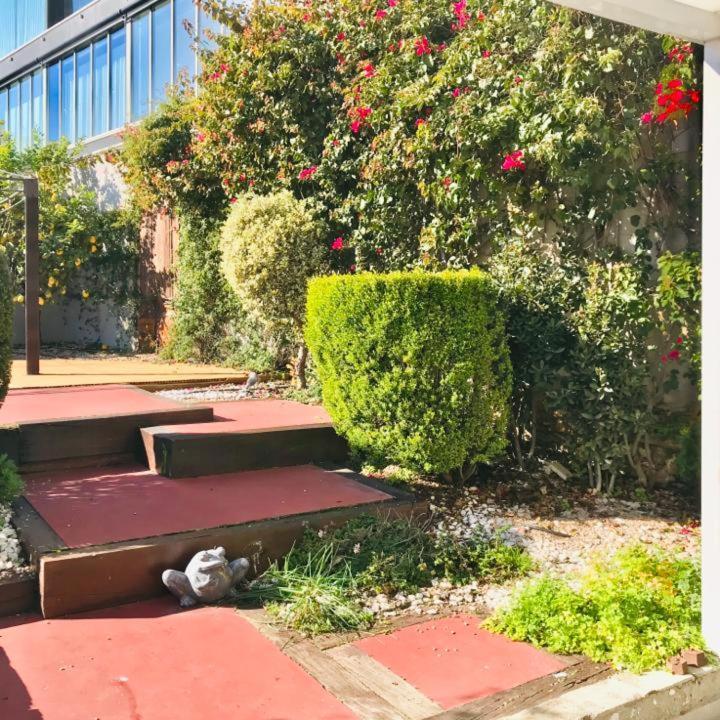 Dalma Flats - Garden *